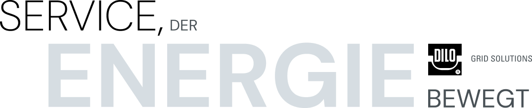 DILO Grid Solutions: Service, der Energie bewegt