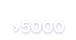 Participants up to 2025